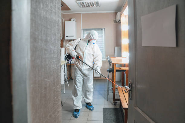 Best Mold Prevention Services  in Ledbetter, KY