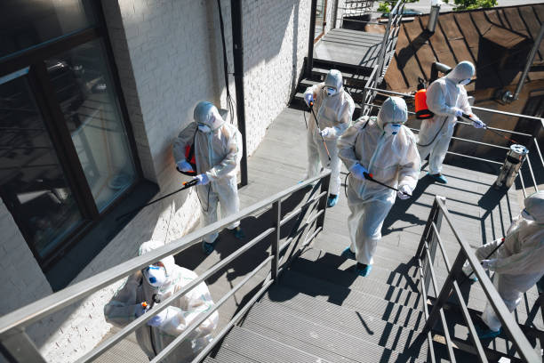 Best Mold Odor Removal Services  in Ledbetter, KY