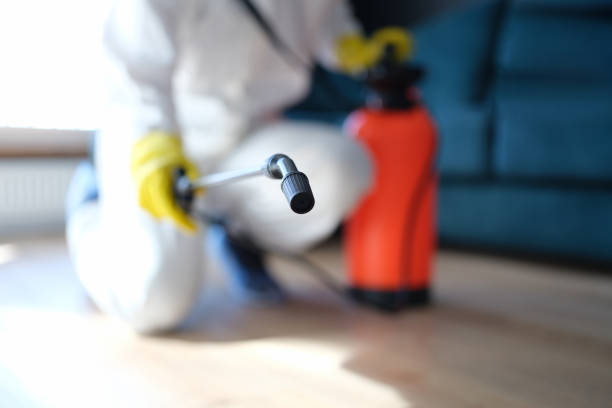 Best HVAC Mold Inspection and Cleaning  in Ledbetter, KY