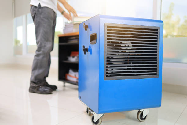 Best Residential Mold Inspection & Testing  in Ledbetter, KY