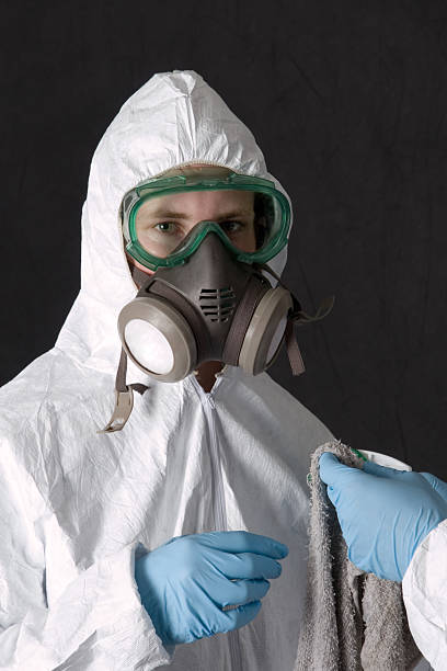 Best Real Estate Mold Inspection  in Ledbetter, KY