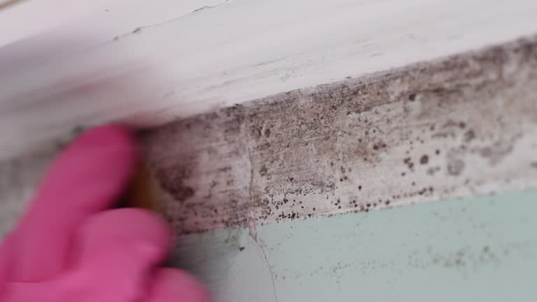 Mold Remediation for Vacation Homes in Ledbetter, KY
